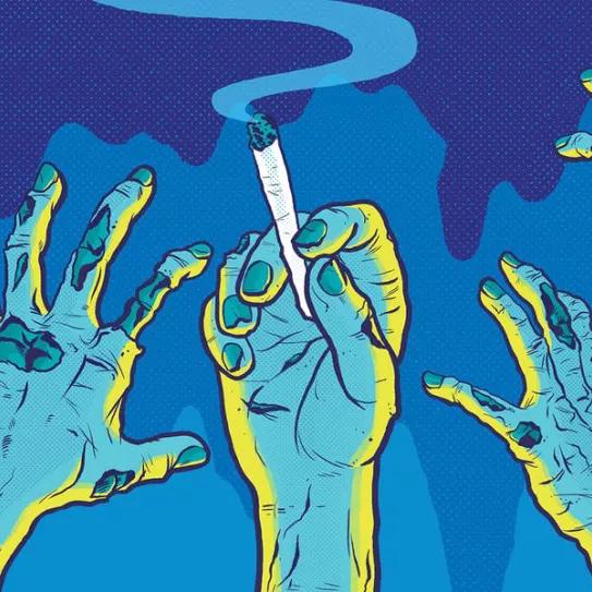 Imagen sin descripción