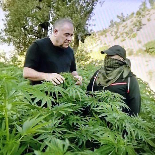 Imagen sin descripción