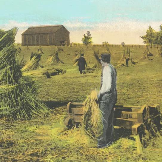 Imagen sin descripción