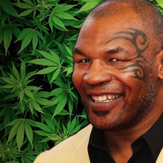 Imagen sin descripción