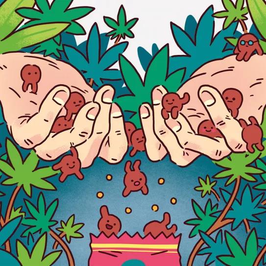 Imagen sin descripción