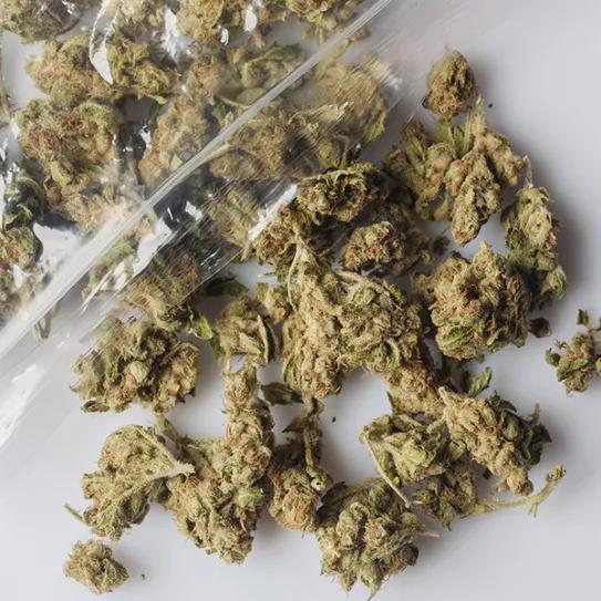 Imagen sin descripción