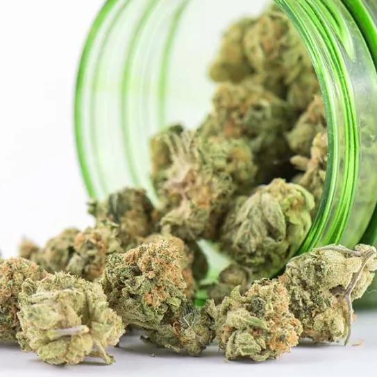 Imagen sin descripción