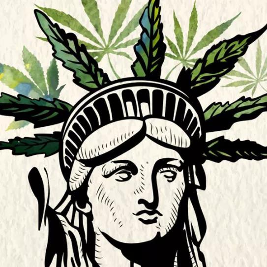 Imagen sin descripción