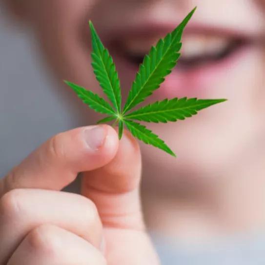 Imagen sin descripción