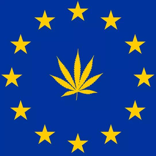 Imagen sin descripción