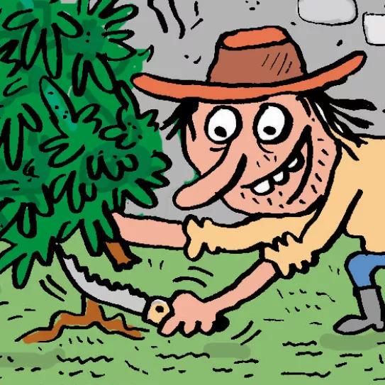 Imagen sin descripción