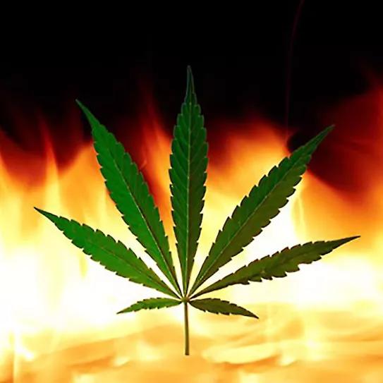 Imagen sin descripción