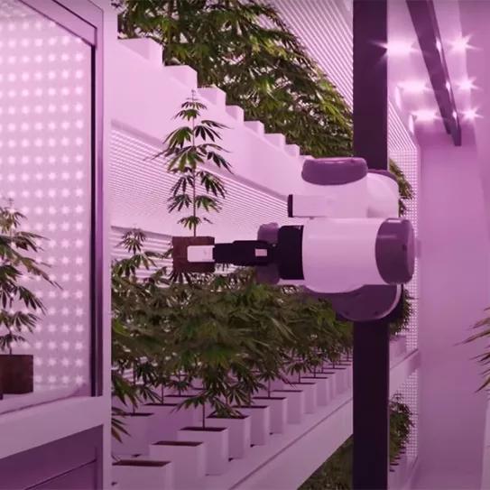 Imagen sin descripción