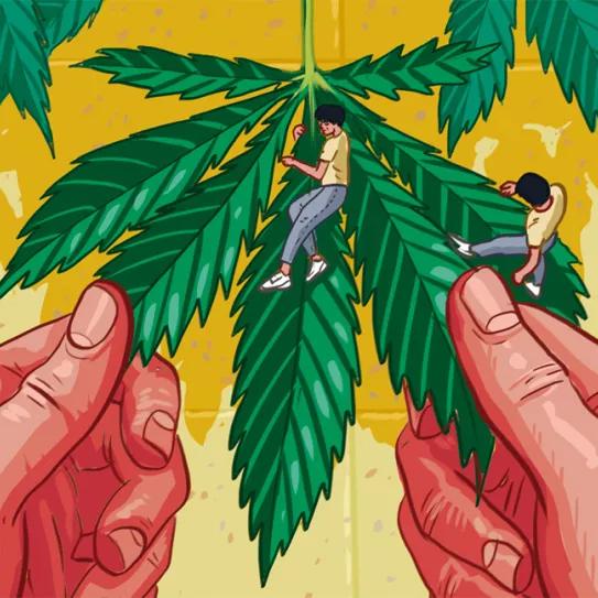 Imagen sin descripción