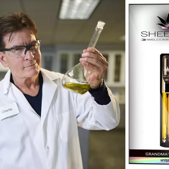 Imagen sin descripción