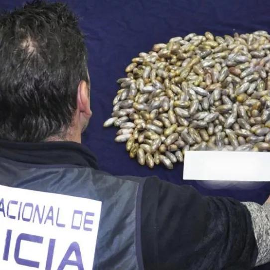 Imagen sin descripción