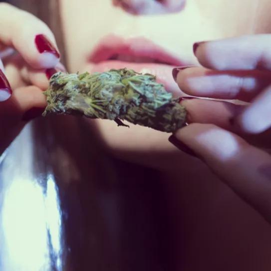 Imagen sin descripción