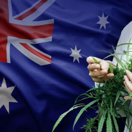 Imagen sin descripción