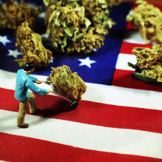 Imagen sin descripción