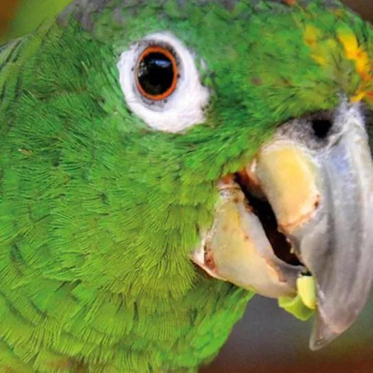 Imagen sin descripción