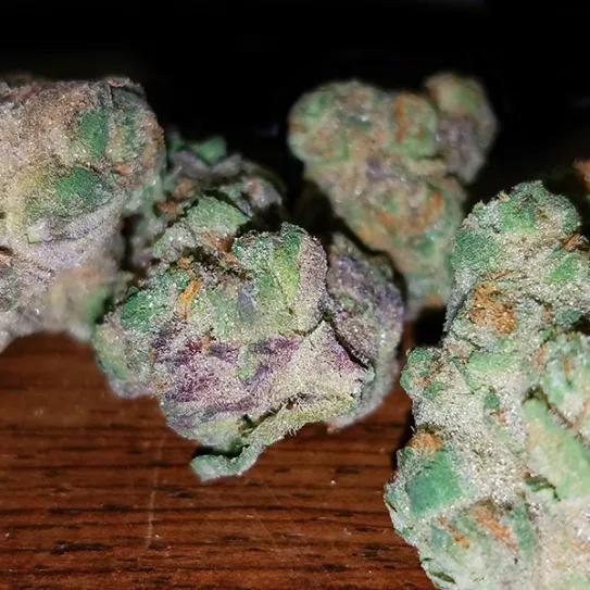 Imagen sin descripción