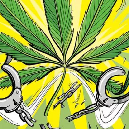 Imagen sin descripción