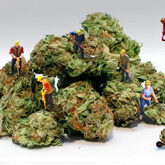 Imagen sin descripción