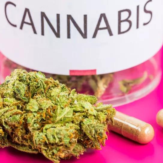 Imagen sin descripción