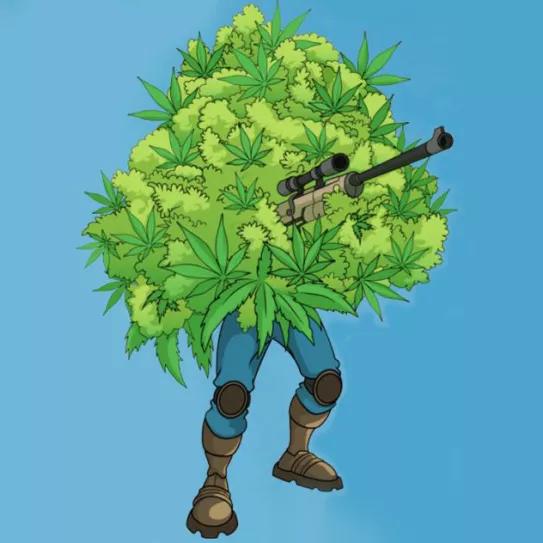 Imagen sin descripción