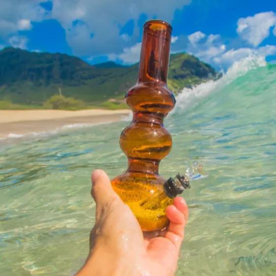 Imagen sin descripción