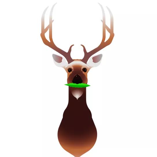 Imagen sin descripción