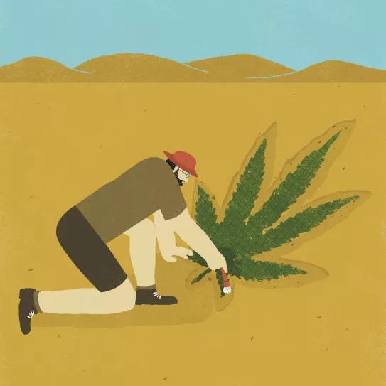 Imagen sin descripción