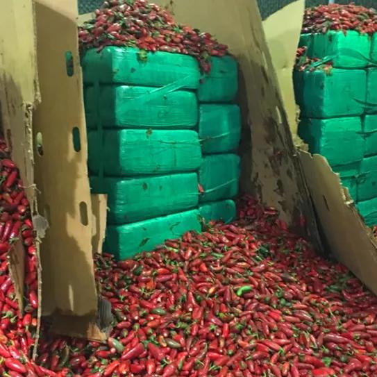 Imagen sin descripción