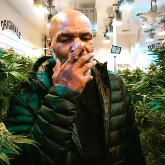 Imagen sin descripción