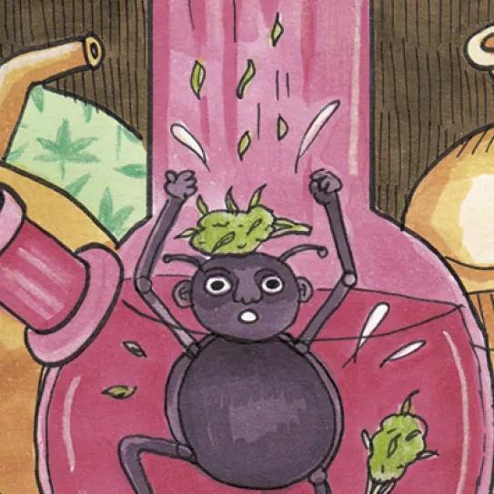 Imagen sin descripción