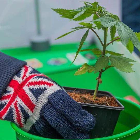 Imagen sin descripción