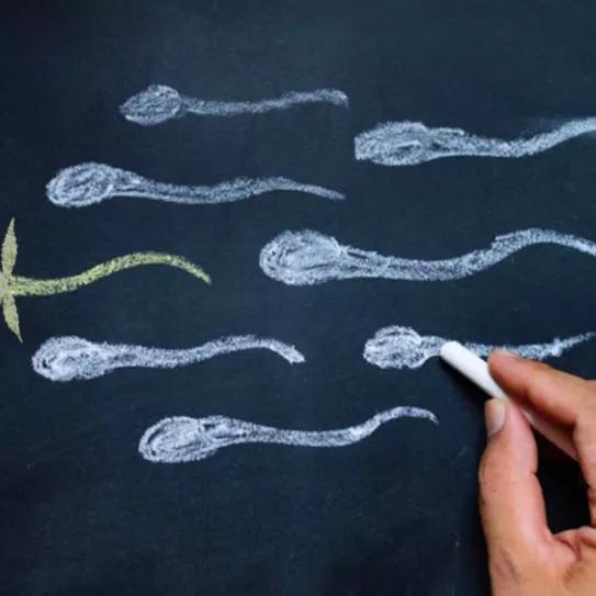 Imagen sin descripción