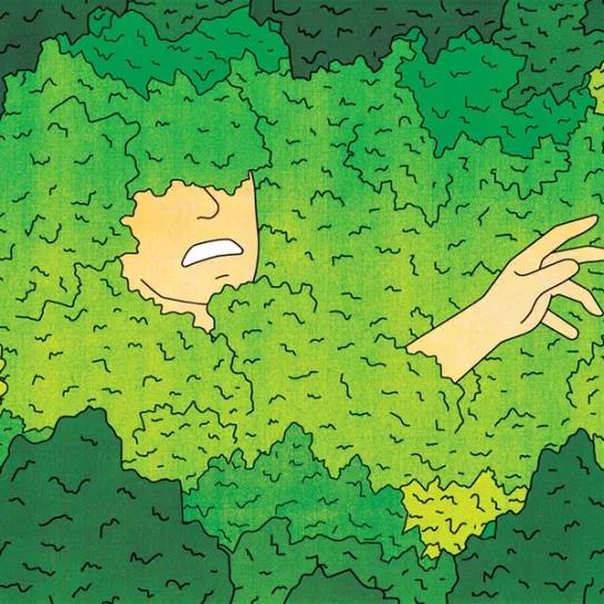 Imagen sin descripción