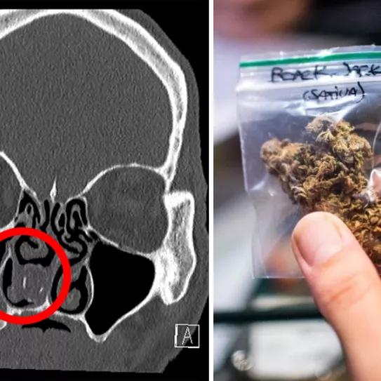 Imagen sin descripción