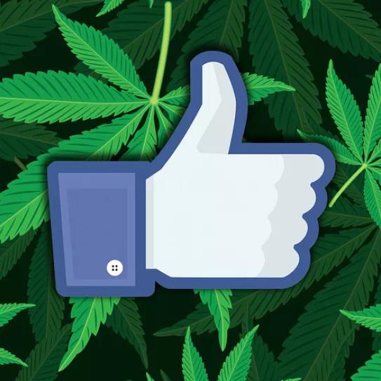 Imagen sin descripción