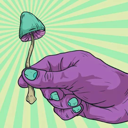 Imagen sin descripción