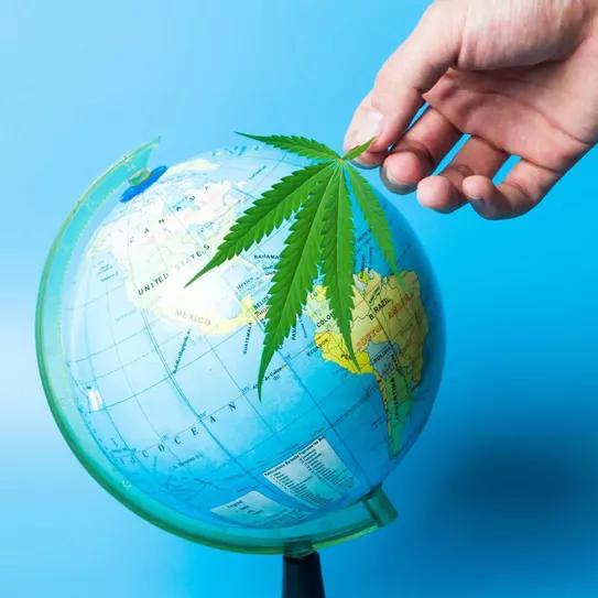 Imagen sin descripción