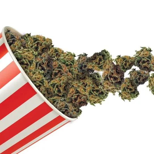 Imagen sin descripción