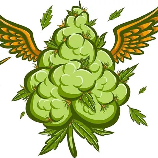 Imagen sin descripción