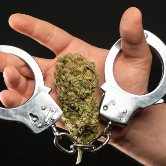 A pesar de la ola de legalizaciones a favor del cannabis en EEUU, en 2023 se arrestaron a más de 200 mil usuarios 