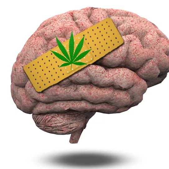 Imagen sin descripción