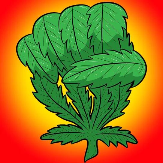 Imagen sin descripción