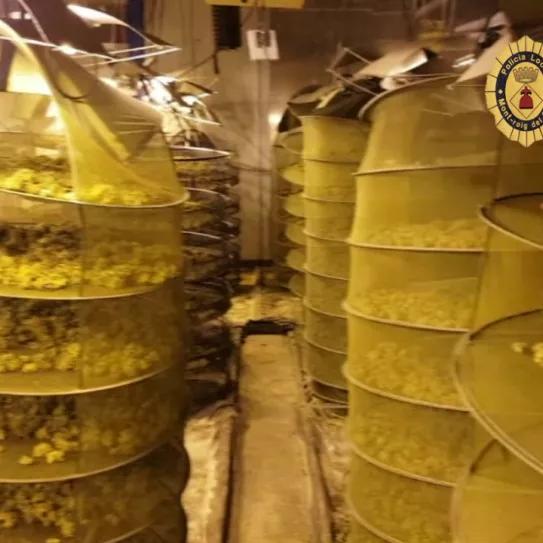 Imagen sin descripción