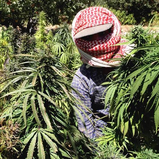 Imagen sin descripción