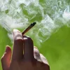 ¿Te puedes colocar solo con el humo de la marihuana que otras personas están fumando?