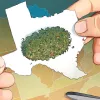 Expertos aseguran que legalizar la marihuana aliviará la recesión en Texas