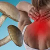 ¿Psilocibina contra el dolor crónico?