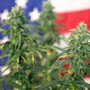 Gobierno estadounidense parece querer desclasificar la marihuana como droga peligrosa, aunque en realidad no