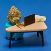 Las mejores variedades de cannabis para trabajar en casa